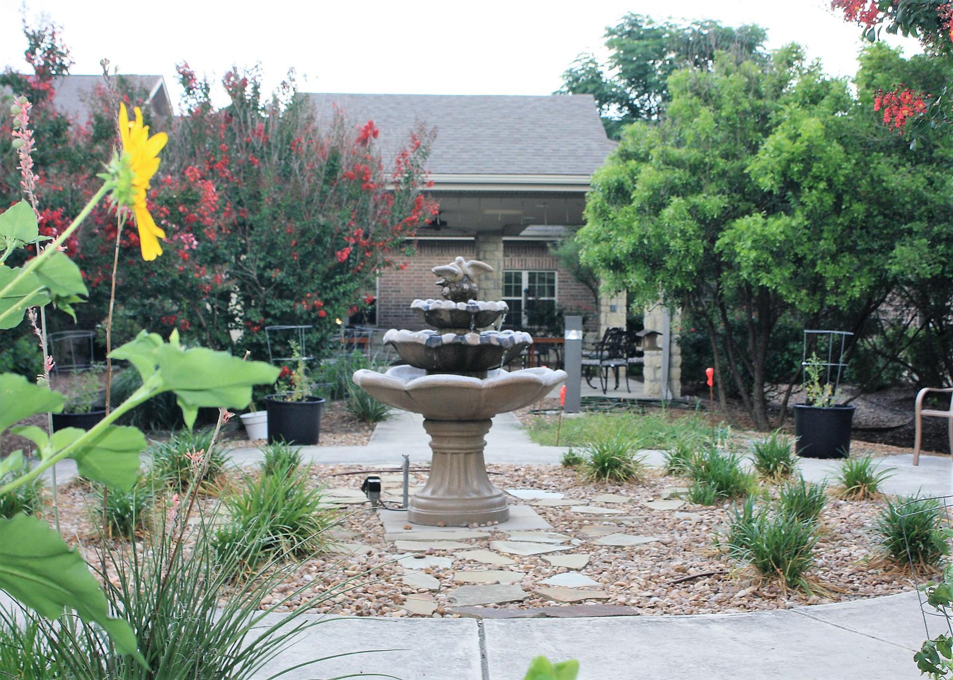 Cibolo Creek - Outdoor space